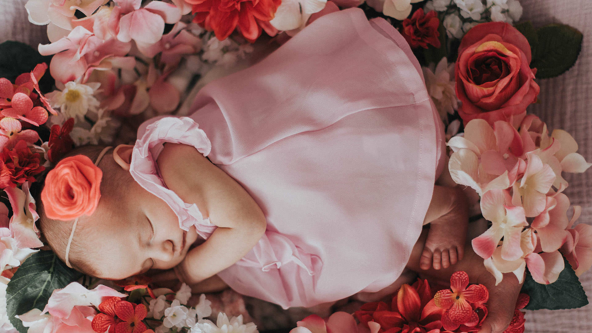 Baby lying in a bed of flowers during a newborn photography session in Greenville,SC.